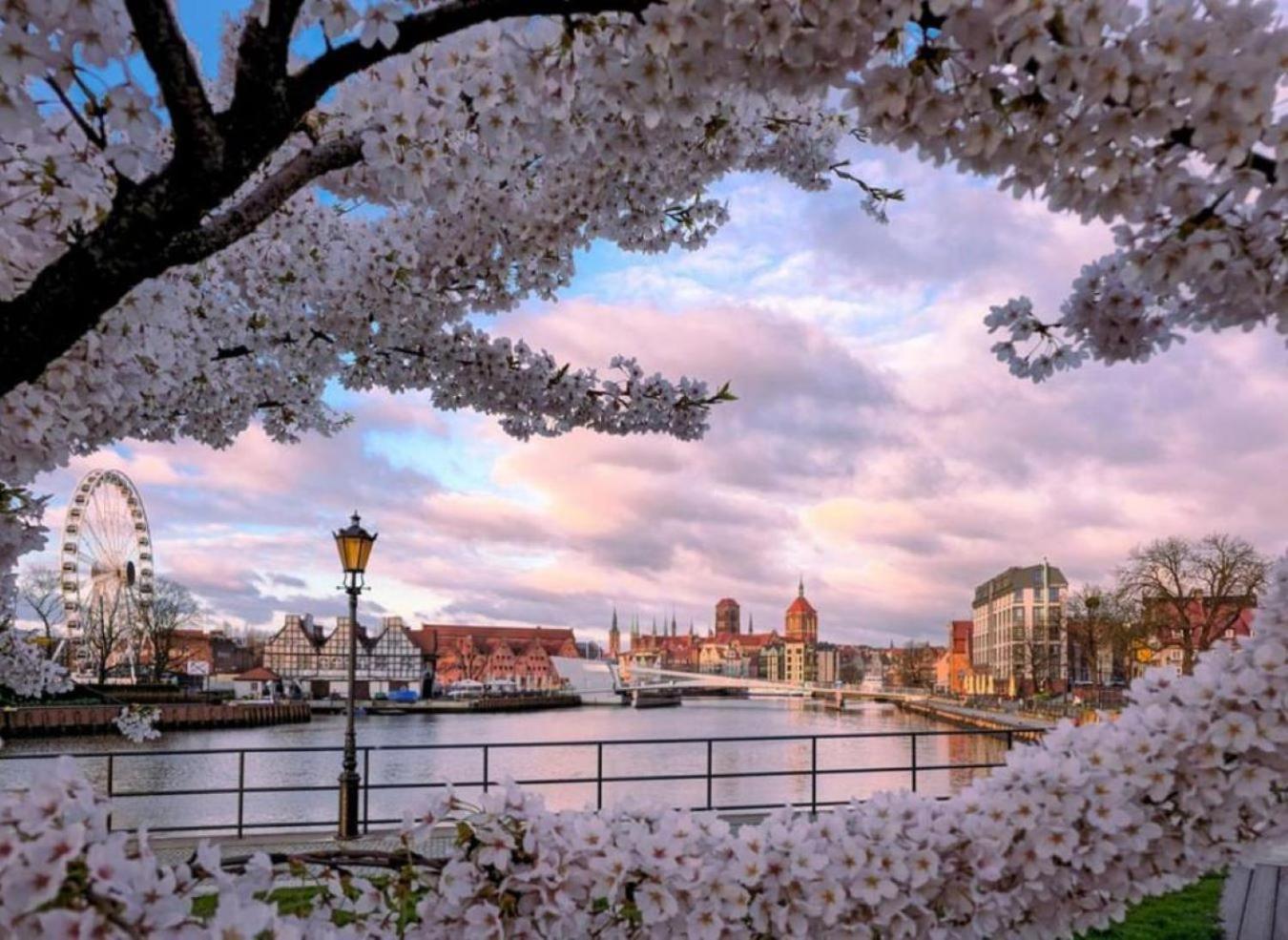 Baltic Gdansk Old Town Heart Aparthotel Buitenkant foto